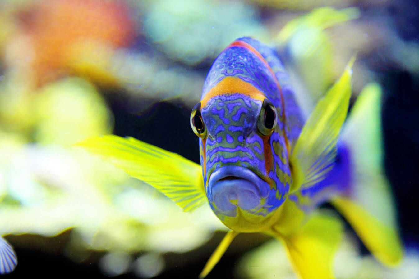 3-1-m_1685low