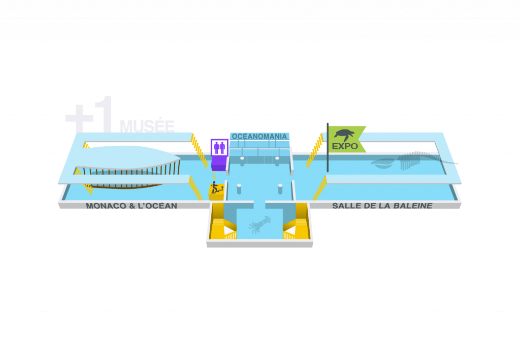 Plan Musée océanographique - Rez-de-chaussée - Plan Musée océanographique - Rez-de-chaussée - Etage-1