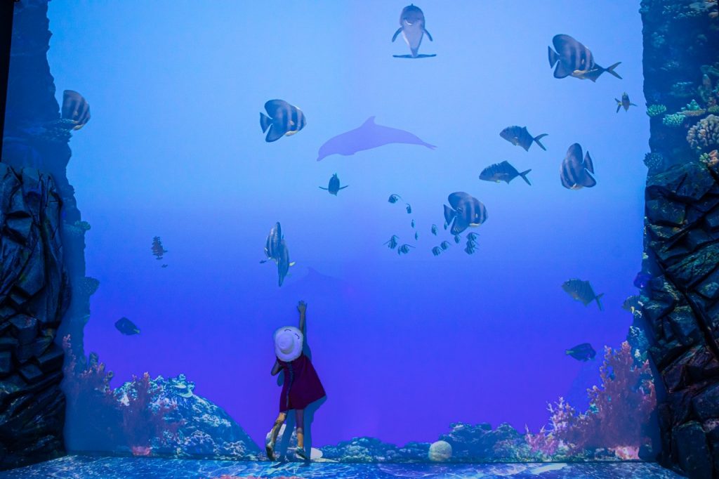 Exposition Immersion - Nagez avec les raies - Musée océanographique