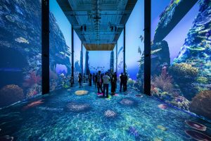 Exposition Immersion - Nagez avec les raies - Musée océanographique