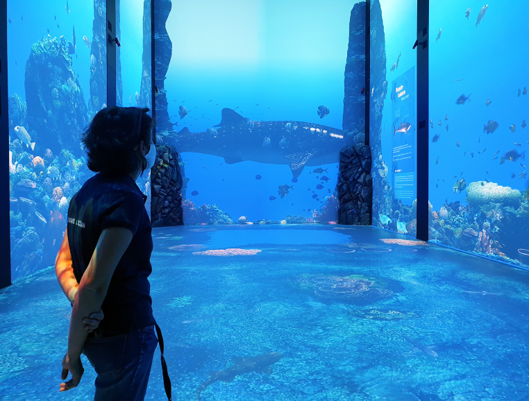 Immersion