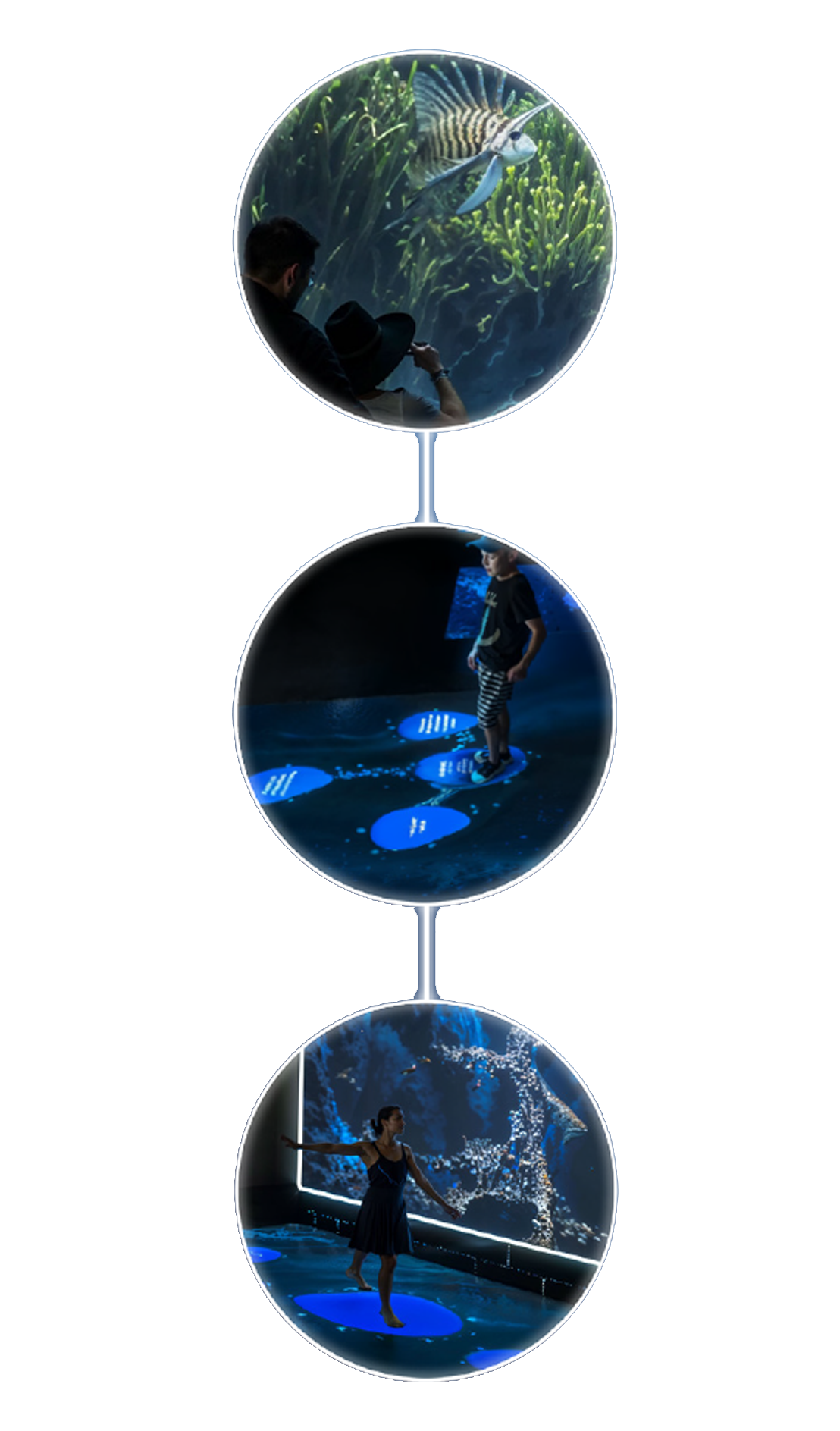 4-my-oceano-med-parcours-exposition-medtierranee