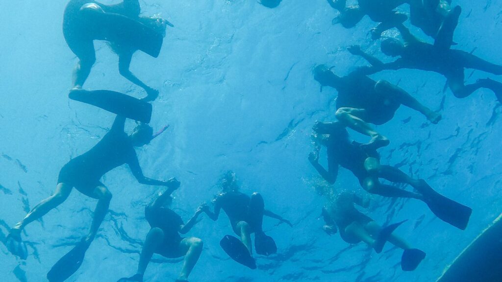 Oceano_Pour_Tous_Famille_sortie_en_mer_20250827_Musee_oceanographique_Monaco©Institut_oceanographique_de_Monaco_Frederic_Pacorel_168 (3)