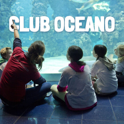 musee-oceanographique-monaco-club-oceano-stage-enfants-2026