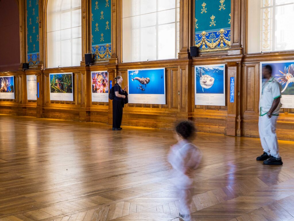 exposition_greg_lecoeur_20260616_museee_oceanographique_monaco@Institut_oceanographique_de_Monaco_a.calascione 15