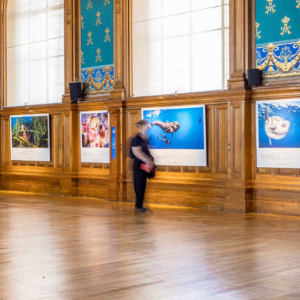 musee-oceanographique-monaco-expo-en-gare-greg-lecoeur