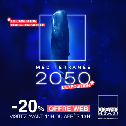 2026-offre-ete-musee-oceanographique-de-emoanco