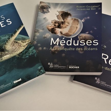 Editions 0