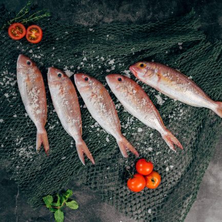 Gourmet-hoan-vo-789842-unsplash